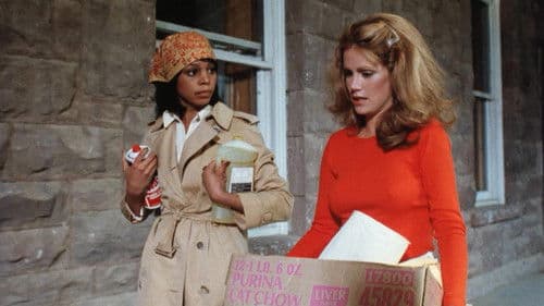 The Evil - Die Macht des Bösen Bild 4