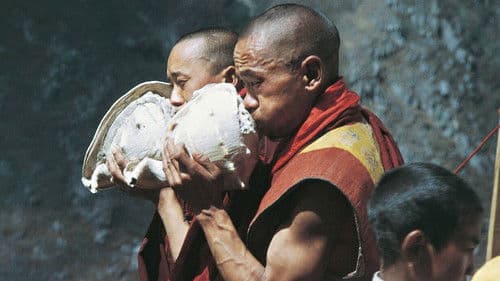 Les Danses de Tami Bild 1