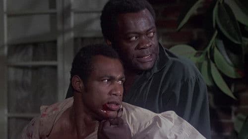 Die Sklavenhölle der Mandingos Bild 7