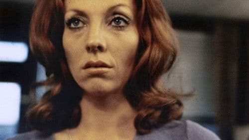 Das Porno-Haus von Amsterdam Bild 3