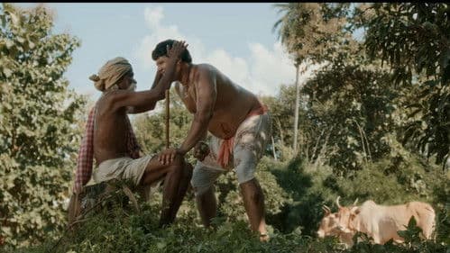 ଅନନ୍ତା Bild 6