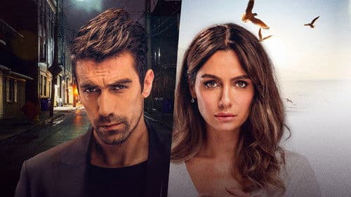 Schwarz-Weiß-Liebe Bild 3