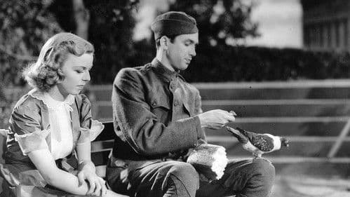 Engel aus zweiter Hand Bild 1