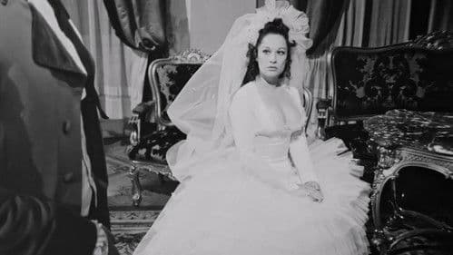 Devičanska svirka Bild 6