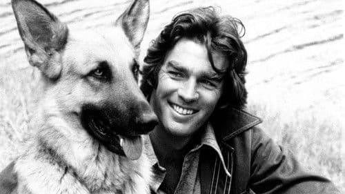 Run, Joe, Run Bild 1