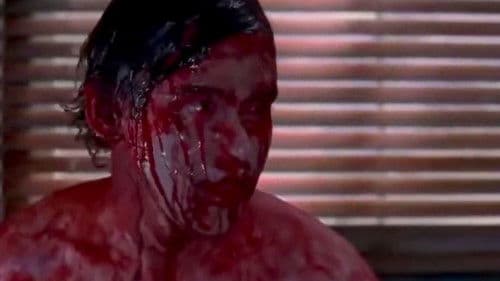 Shallow Ground Bild 4