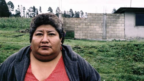 Battle in Heaven Bild 3