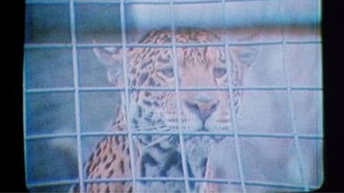 The Mark of Lilith Bild 1