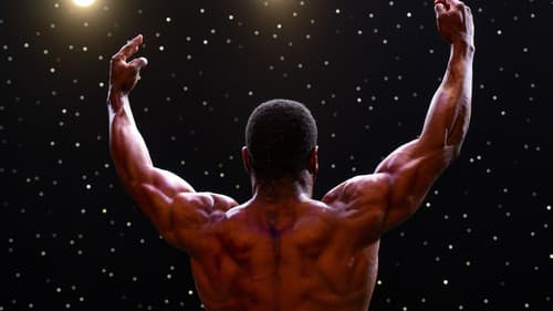 Magazine Dreams Bild 5