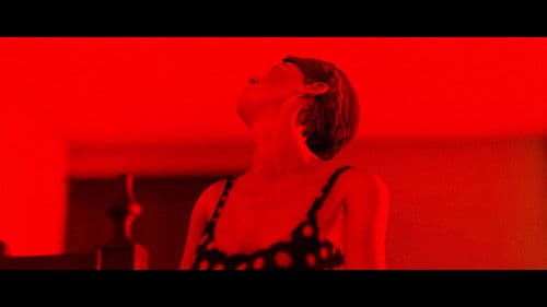 זאבה אדומה Bild 6