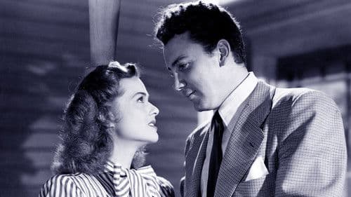 Leather Gloves Bild 1