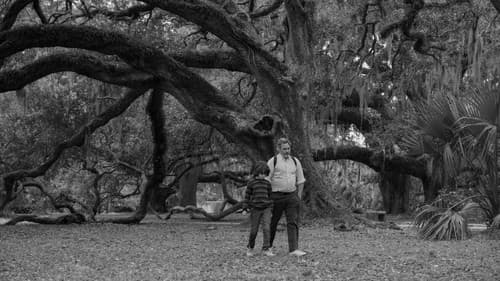 Come on, Come on Bild 4