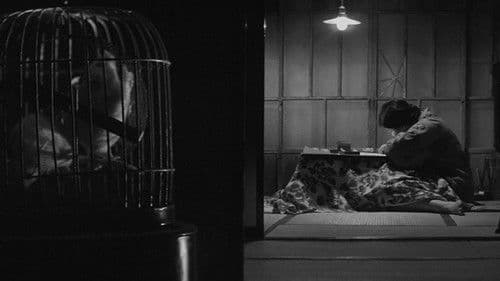 Verbotene Leidenschaft Bild 4