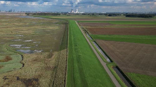 Pflügen, ackern, kämpfen: Die Geschichte der Bauern Bild 8