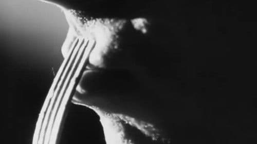 Surrender Dorothy Bild 4