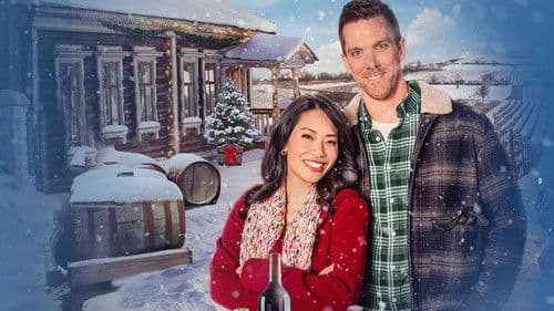 A Vineyard Christmas Bild 2