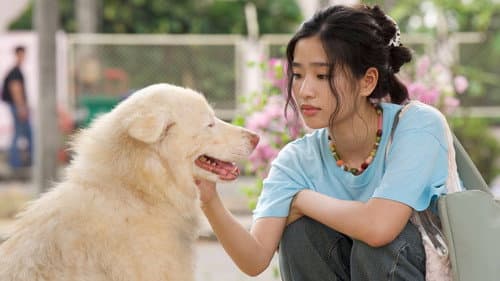 โกฮัง..หัวใจโกโฮม Bild 3