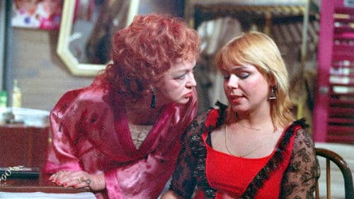 Síť na bludičku Bild 1