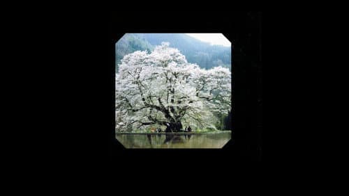 美式天然 Bild 1