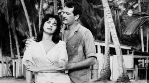 Tropische Sinnlichkeit Bild 3