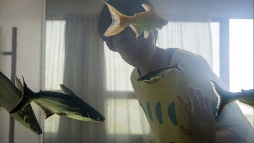 Dormir de olhos abertos Bild 2