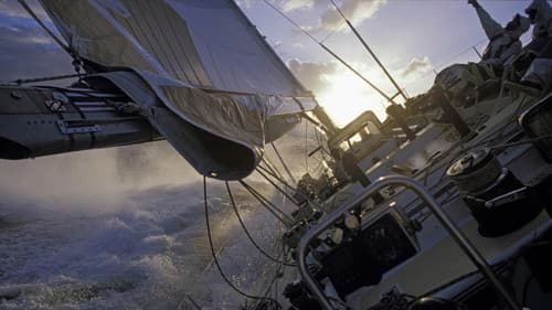 Drum: An Extraordinary Adventure Bild 6