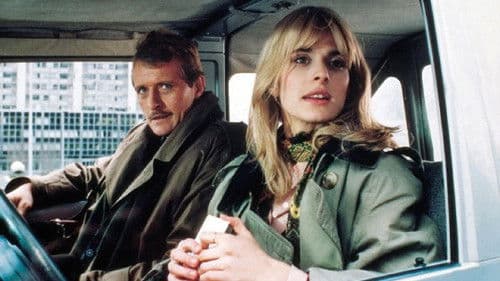 On a Moonlit Night Bild 1