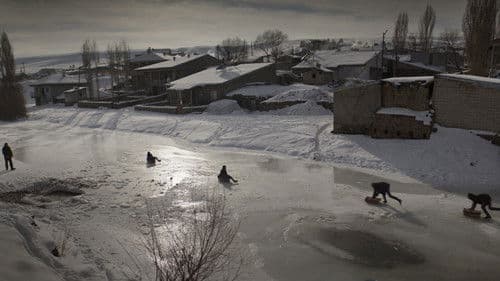 Auf trockenen Gräsern Bild 7