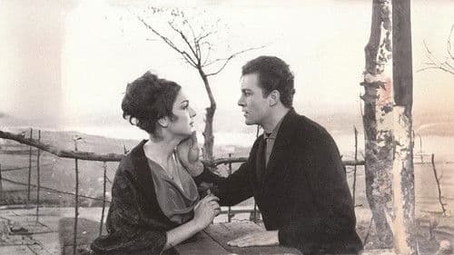 Senede Bir Gün Bild 8