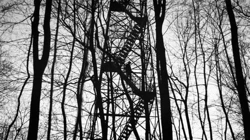 Black Soil, Green Grass Bild 4