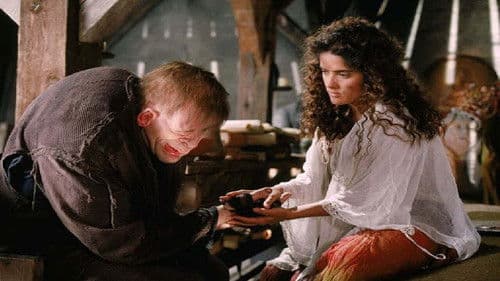 Der Glöckner von Notre Dame Bild 3