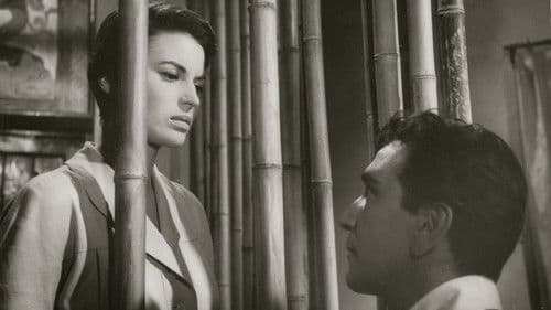 Heiße Küste Bild 1