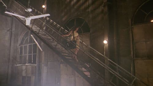 Objetos Perdidos Bild 4