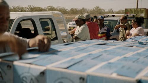 Where Is My Darling? Bild 1