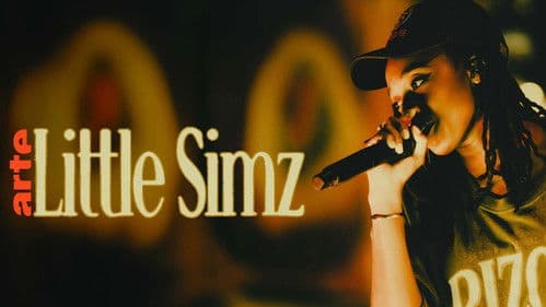 Little Simz à l'Atelier des Lumières Bild 3