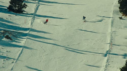 Si mai no ens haguéssim separat Bild 5