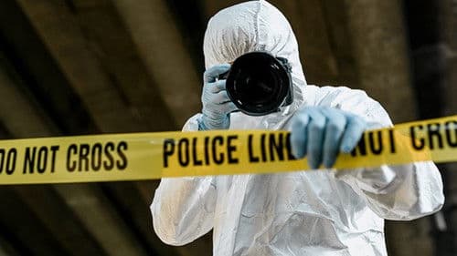 13th Day of Christmas Bild 1