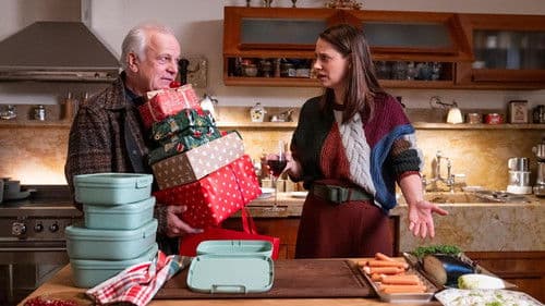 Eine fast perfekte Bescherung Bild 1