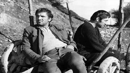 Čovek iz hrastove šume Bild 1