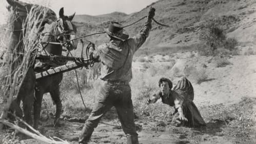 Der Siebente ist dran Bild 4