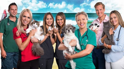 Bondi Vet: Coast to Coast Bild 1