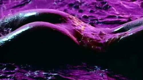 Playboy's Wet & Wild Bild 1