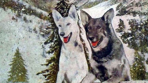 A Hero of the Big Snows Bild 1