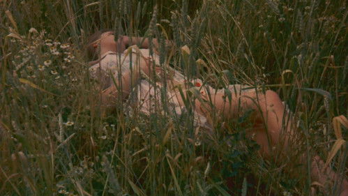 House on Strawhill Bild 5