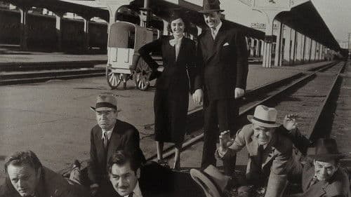 Paradise Express Bild 2