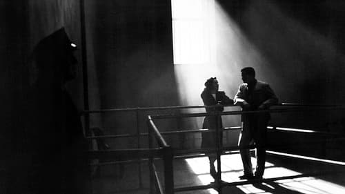 Zeuge gesucht Bild 1