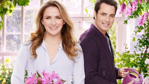 Love Blossoms Bild 1