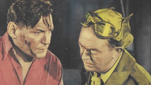 Ride 'Em Cowboy Bild 1