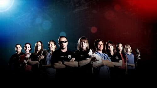 Animal Cops: Houston Bild 2