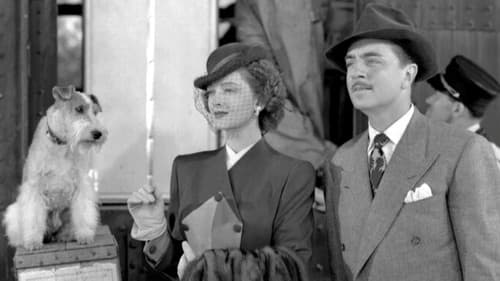 Der dünne Mann kehrt heim Bild 4